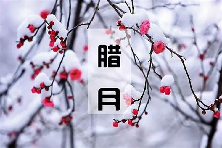 如何看五行属于什么命