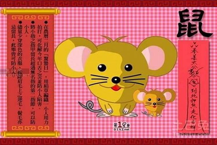 72年11月初一子时生女鼠是什么命？结几次婚