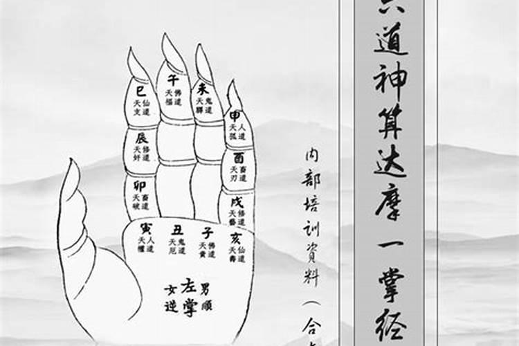 梦见能见表哥结婚的场面