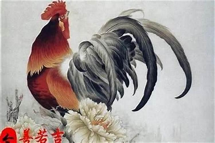 93年生肖鸡一生运程运势