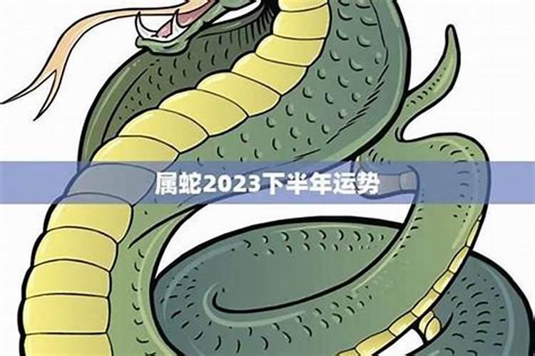 2025年属蛇女每月运势
