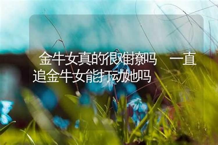 桑拓木命人的最佳婚配,70年的钗钏金命女和72年的桑拓木命男相配对百...