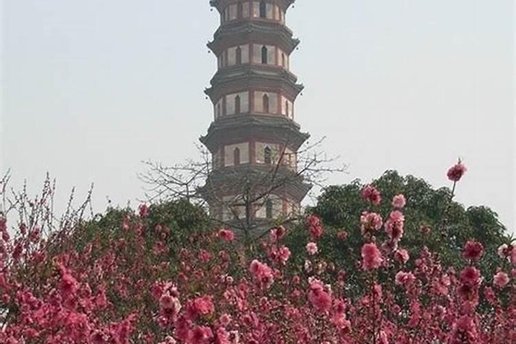 最近财运很差,怎么样才能转转财运呢？