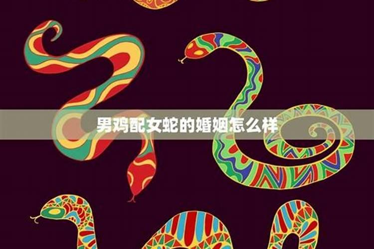 八字配对查询 属蛇女与属鸡男婚姻如何？