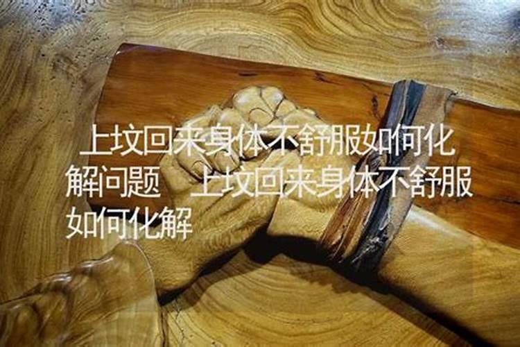 清明如何预约祭扫
