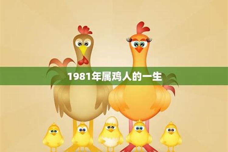 1981生肖属鸡的一生运势怎样