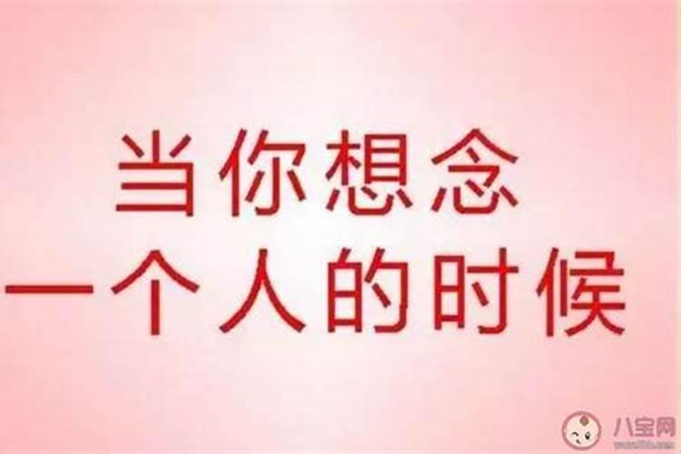 猪和鼠的婚姻到底好不好