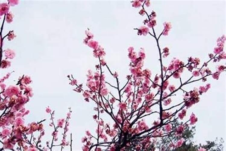 男人催桃花运的9种方法