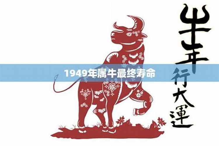 61年属牛的白羊座2025年6月4日财运数字是多少