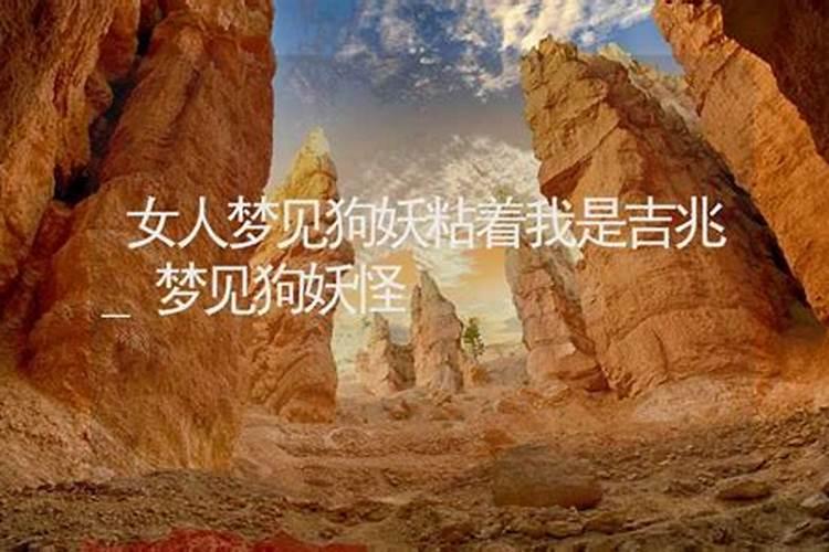 梦见一条狗老是粘着自己