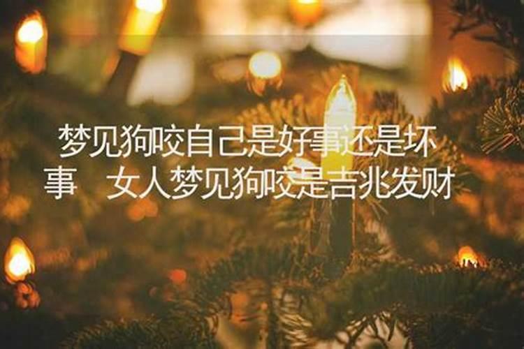 梦到狗有什么预兆 梦到狗有哪些预兆