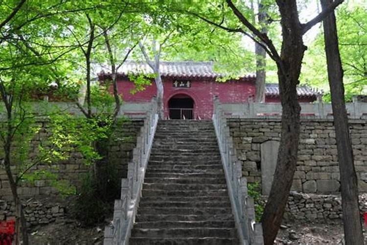 属相不合真的注定两个人不能走在一起？