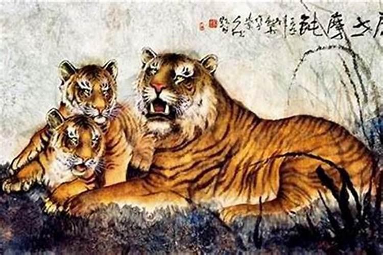 童子命什么意思
