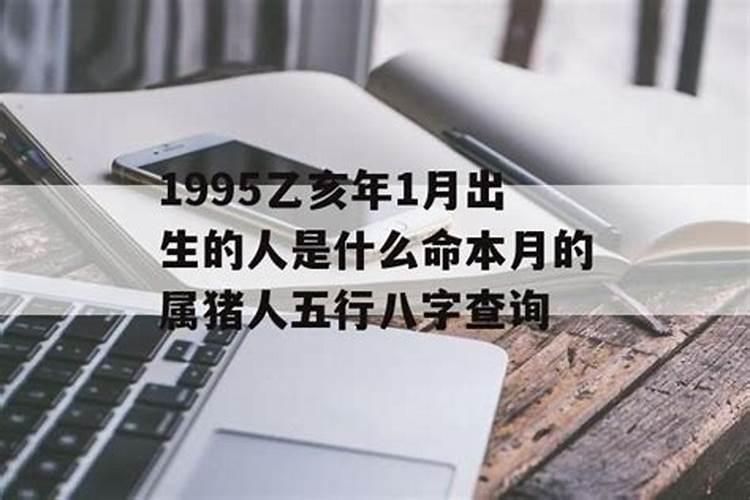 属鸡和属猪八字合不合