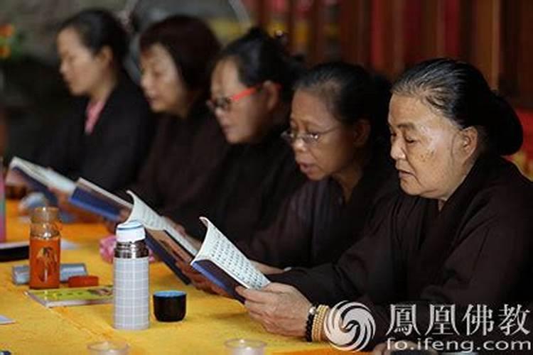 属羊2025年运势及运程详解