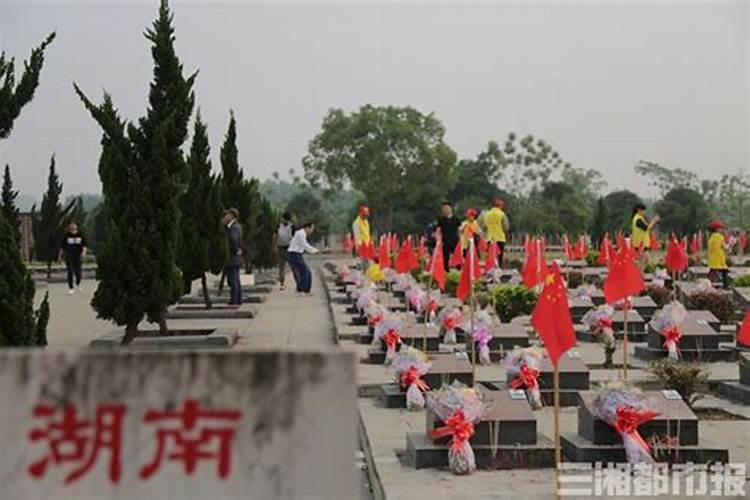 木命里,什么木命最好？