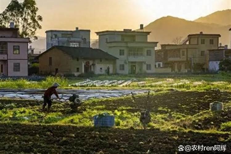 清明节十字路口烧纸具体操作细节,请列位知情者指点一二