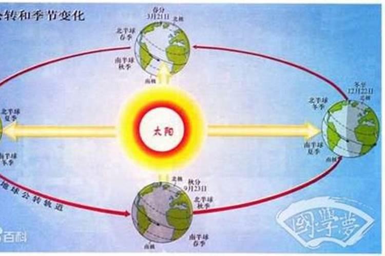 83年属猪哪年转大运