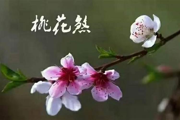 什么是害太岁(害太岁怎么算)