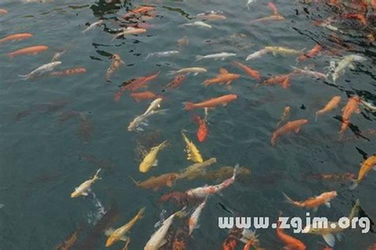 婚姻断桥关是什么意思？