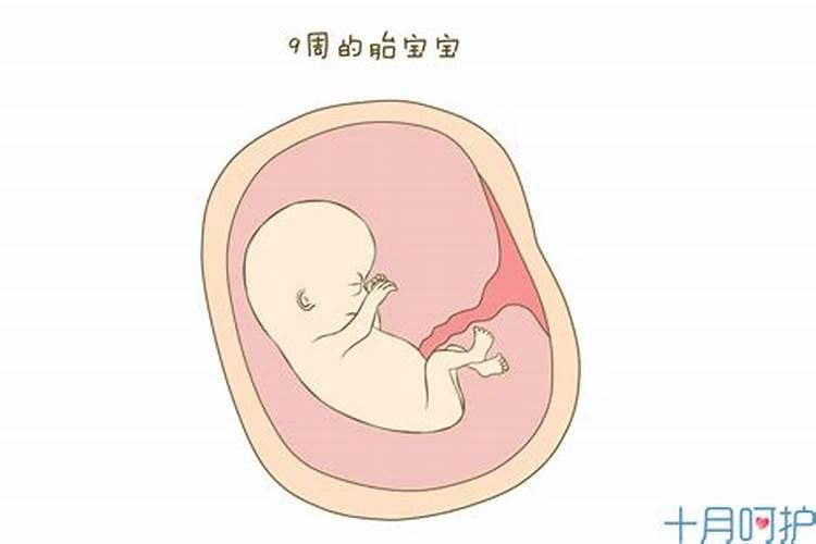 阴阳八卦看风水