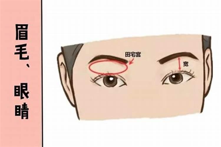 什么是扫烛明？