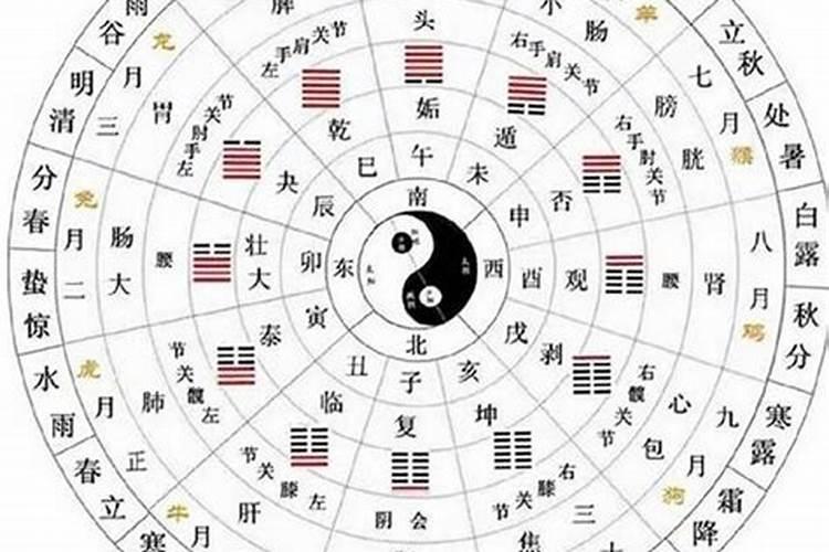 腊月初一是属什么生肖