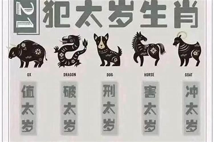 办公室风水不好有哪些表现办公室气运不好怎么破？