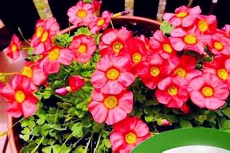 中国传统文化—中秋节的来历和习俗
