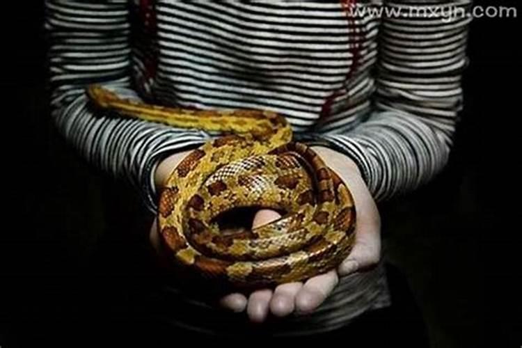 补一次财库能管几年用