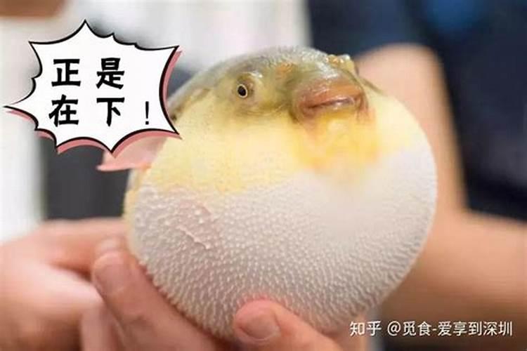 梦见自己被软禁在学校旁边的一处像监狱一样的地方,站在高处都能看见学校...