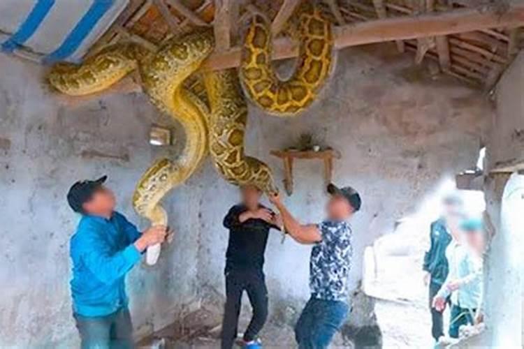 梦见大海大浪是什么意思