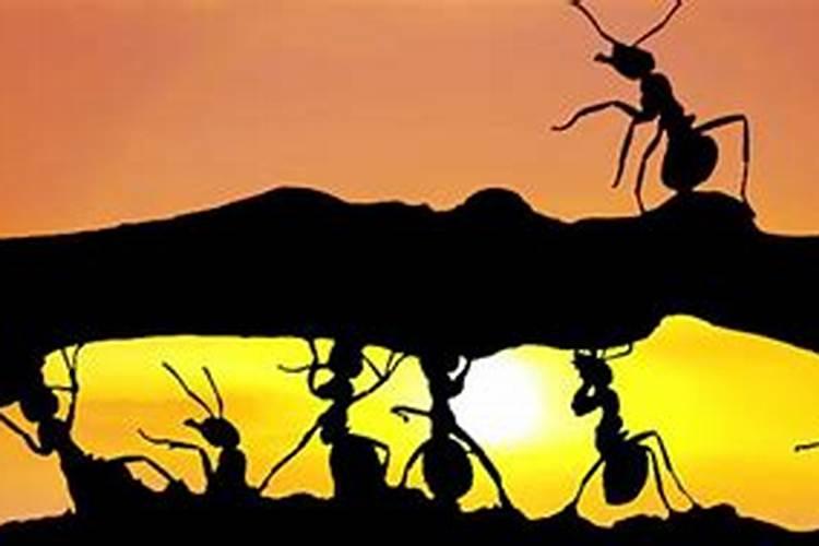 7月有什么重要的节日