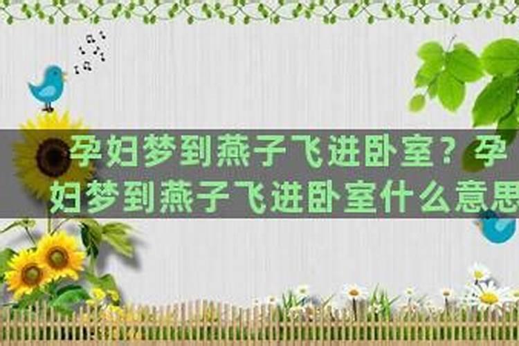 2025年属鸡女人的全年运势1981出生