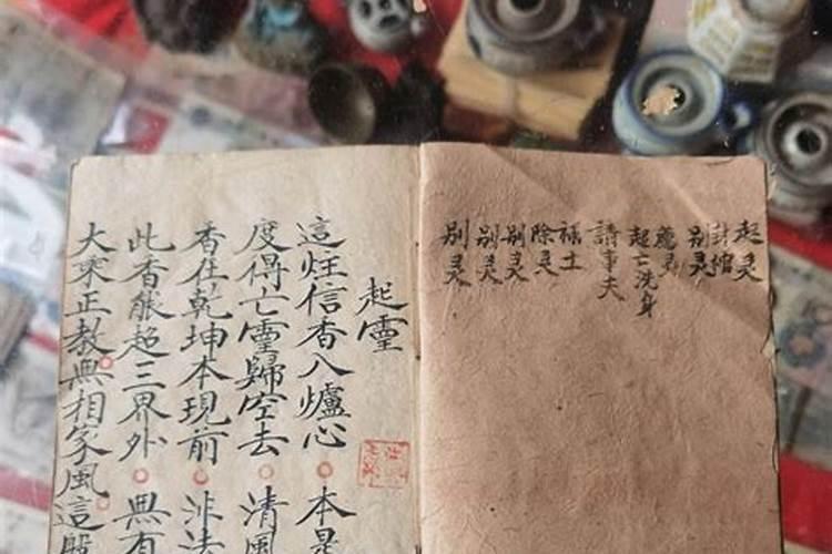 属鼠犯太岁的年份