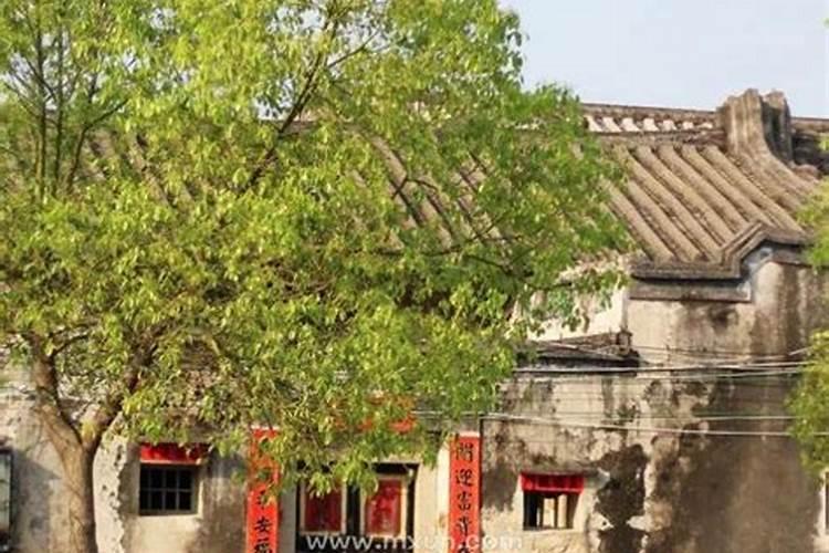 梦见情人和别人搞暧昧有什么预兆