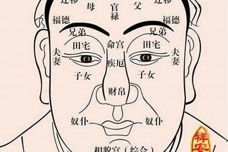 文昌星入夫妻宫谁外遇