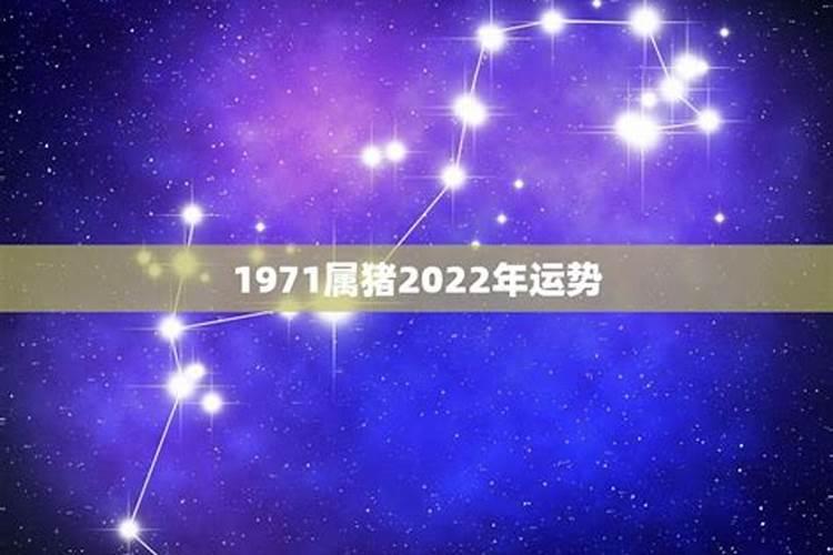 71年猪人2025年运势