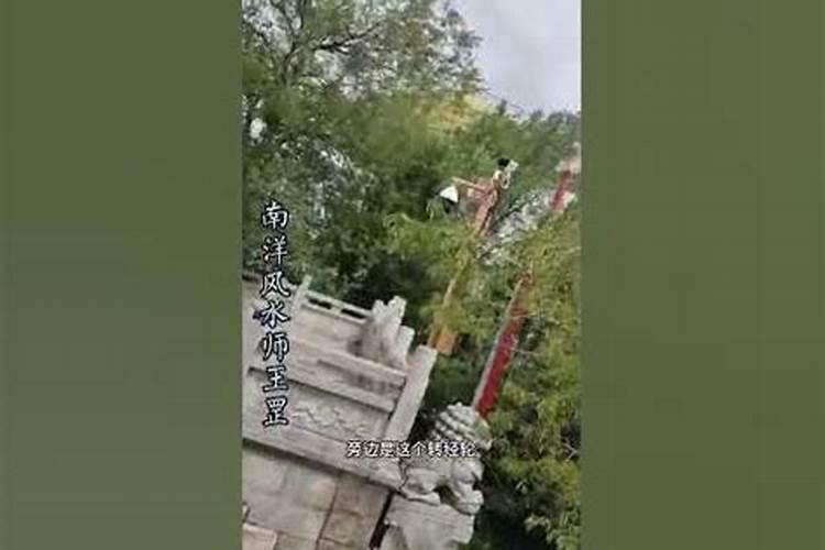 生肖鼠1972年2025年运势如何 生肖鼠1972年2025年全年运势