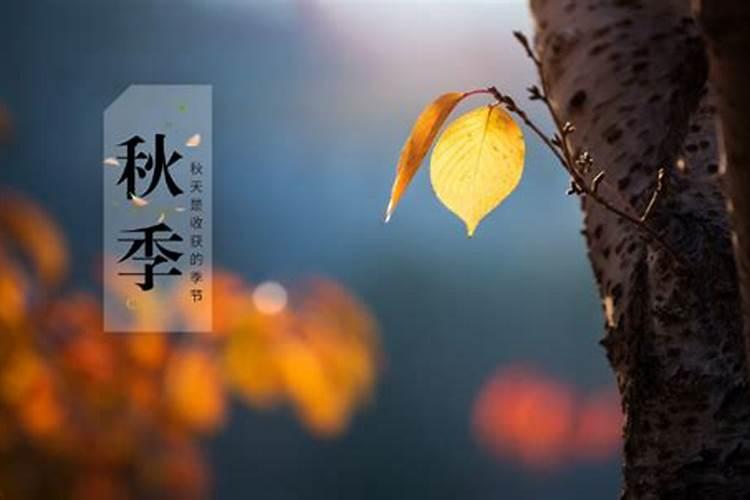 秋分节气是几月几日几点几分