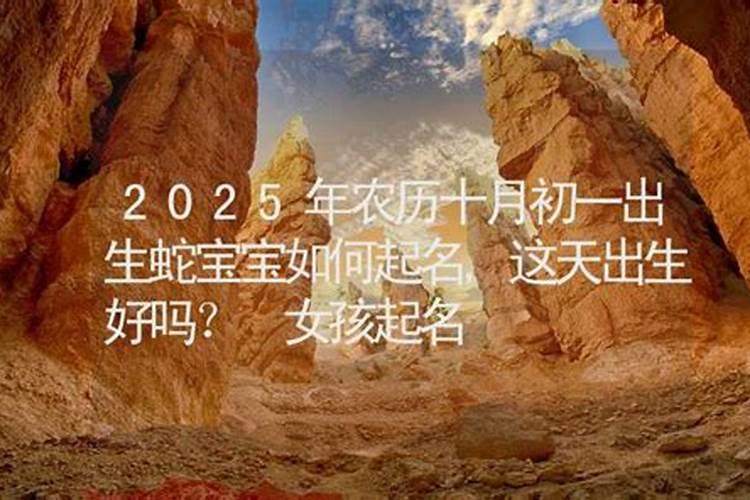 农历10月出生属猪人命好吗