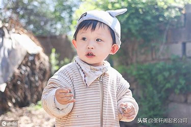 24扫房子25干啥