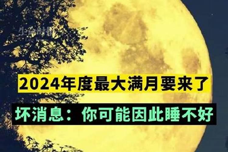 82年属狗女2024年每月运势