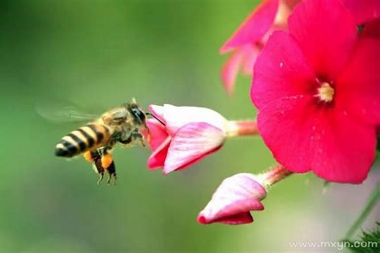元宵节灯谜及答案 元宵节灯谜含有答案