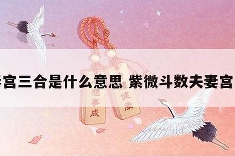 属马和属兔的合不合
