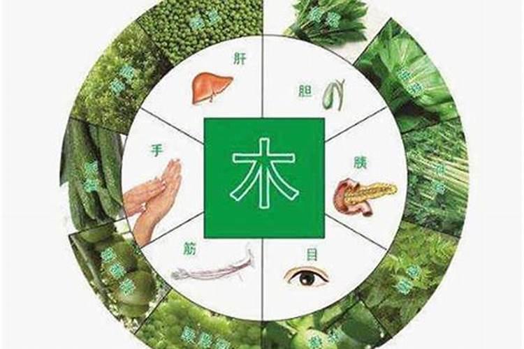 五行缺木怎么化解,命里缺木怎么办？
