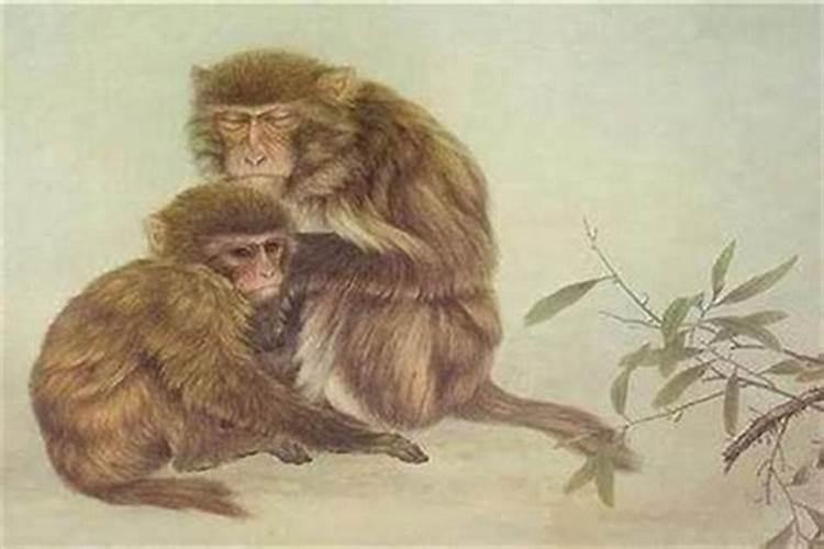 68年猴2025年运势如何