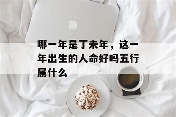 2025年属羊人多大了