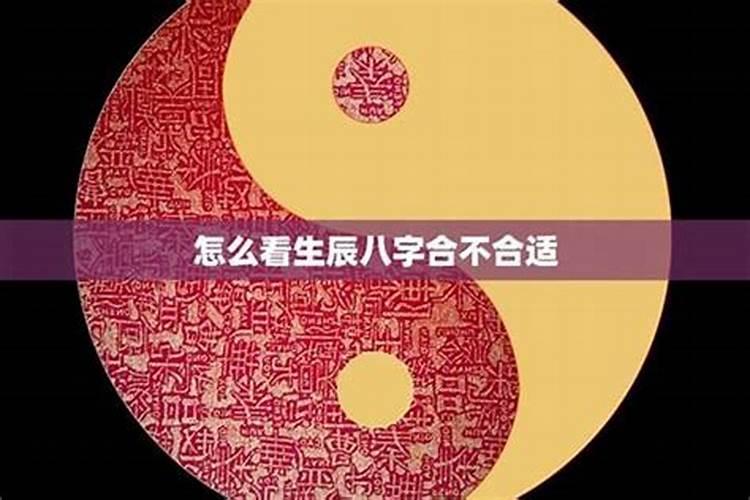 属猪人2025年犯太岁的化解方法