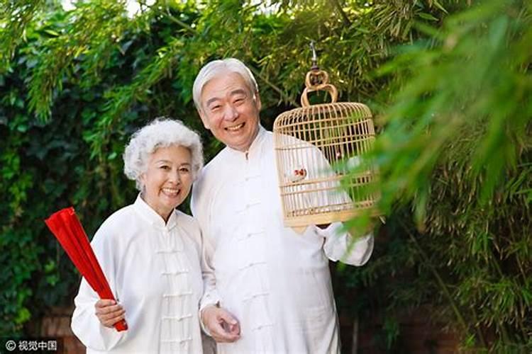 梦见狗说话是什么预兆